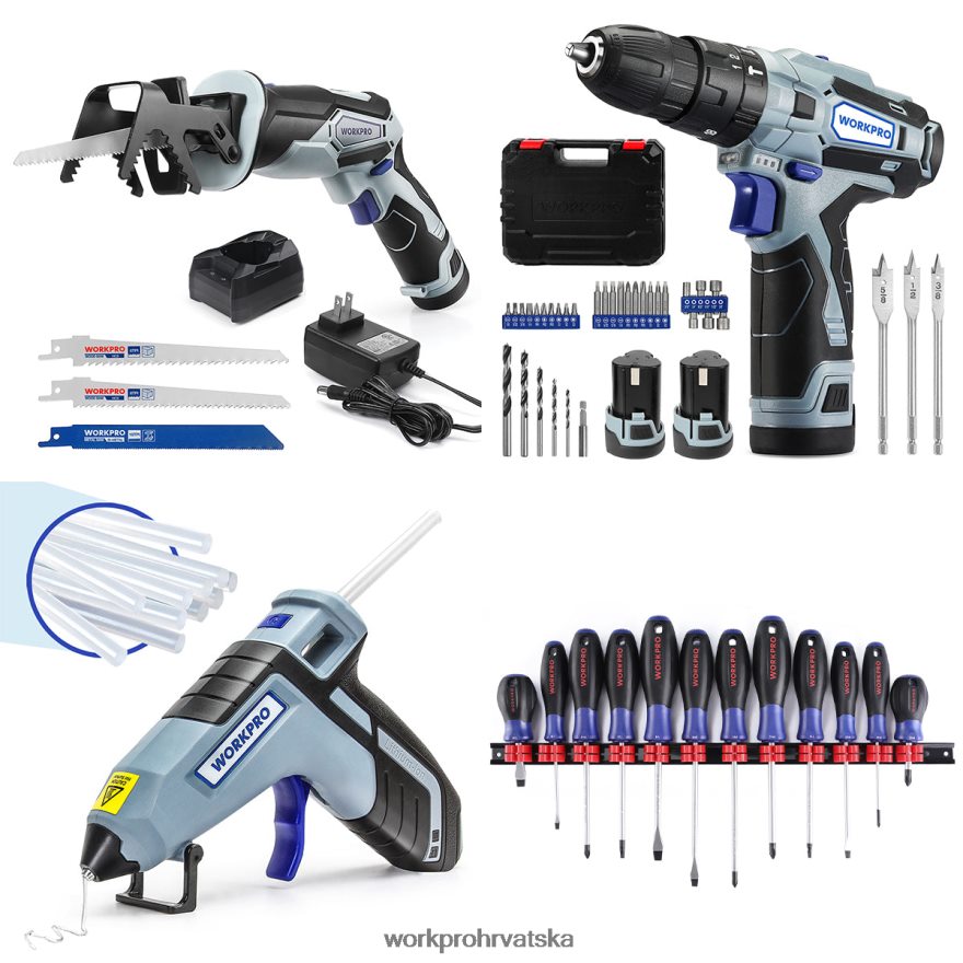 12v akumulatorska klipna pila & 12v akumulatorska bušilica komplet & set magnetskih odvijača od 12 komada & bežični pištolj za vruće ljepilo 404RPX321 koristan WORKPRO alat