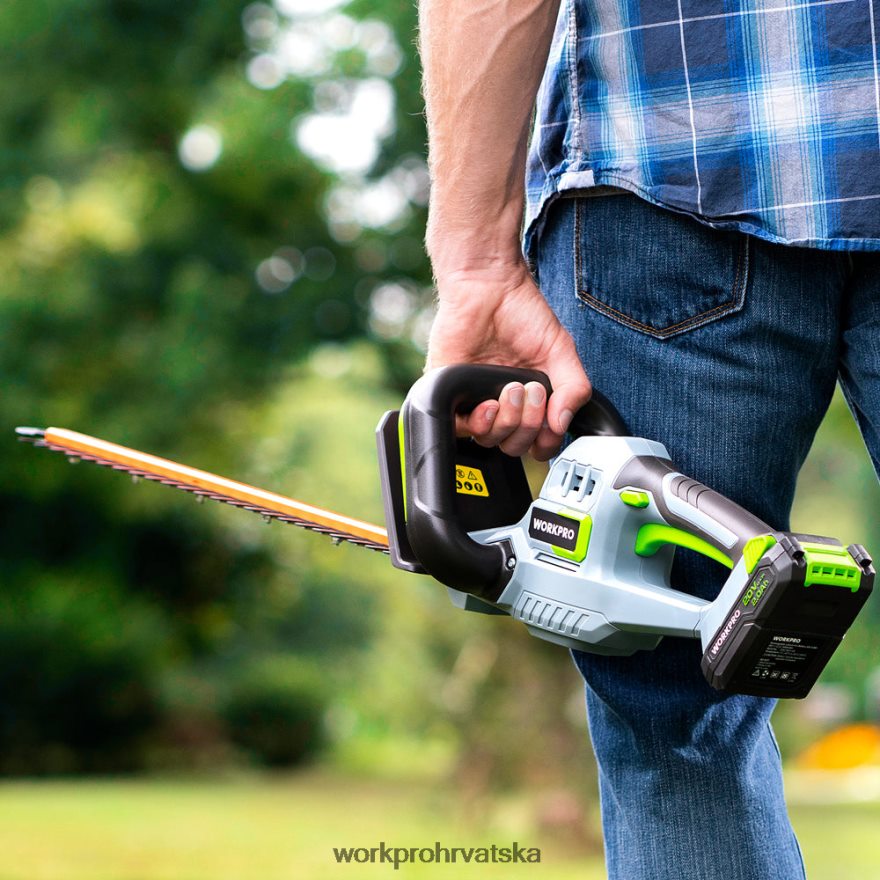 20 V bežične škare za živicu s dvostrukim djelovanjem, električni alat za vrtlarenje 2,0 ah baterija i brzi punjač od 1 sata uključeni 404RPX295 morden WORKPRO alat